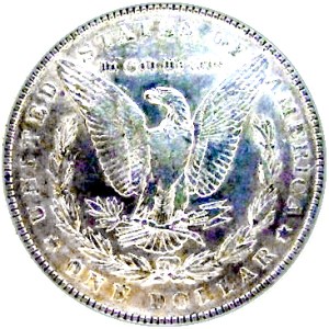 Silver Dollar_2x2_180