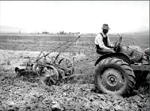 Rev.TomatoPlantMach_mod_11x8_72