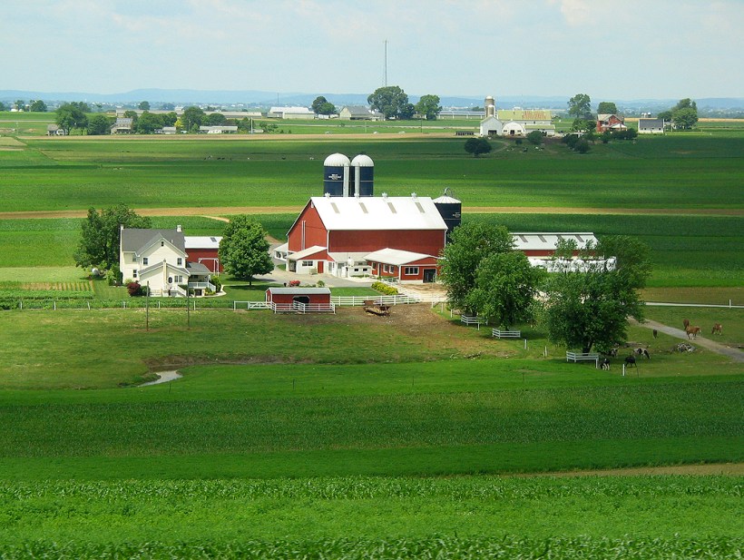 Henry Metzler Farm_6x4_180_3294