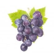 grapes