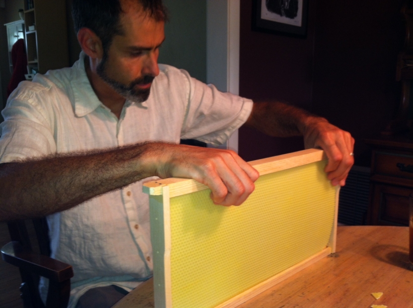 Joel Beaman and bee hive frame
