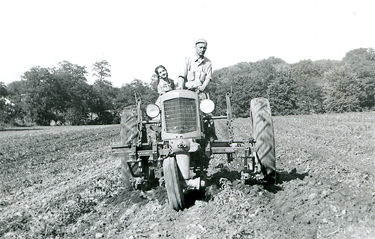 Cultivating land for tomato crop in Bainbridge