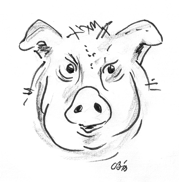 Pig_drawn_150
