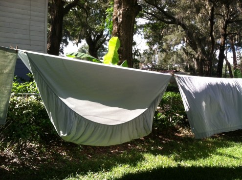 Sheets blowing in sync with frond on banana tree in background