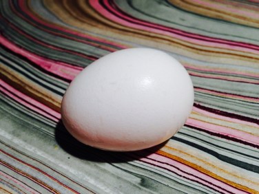 Egg