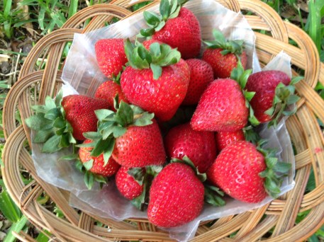 strawberries