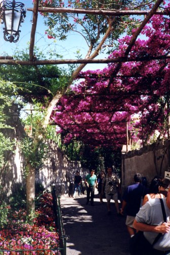 Where Cliff thought we'd meet - by the Duomo