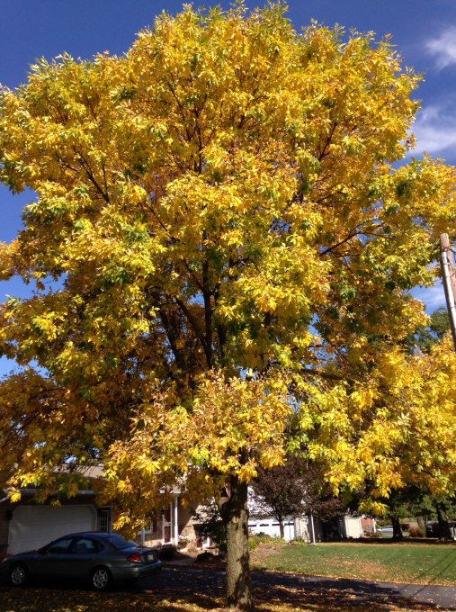 Original Photo: Autumn in Pennsylvania