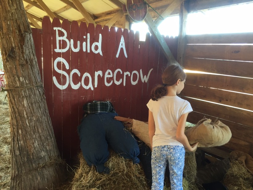 BuildScarecrow
