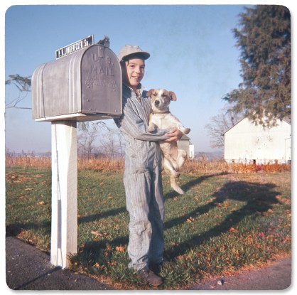 MarkDogMailbox