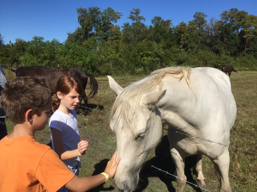 WhiteHorse2Kids