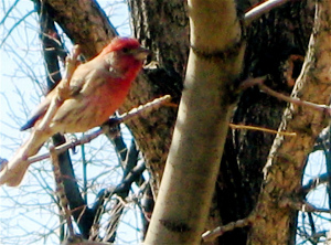 Winter can be hard on us all. What can we choose to get us going...and stay focused?