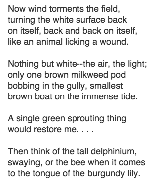 Screen Shot 2016-02-23 at 8.07.19 AM