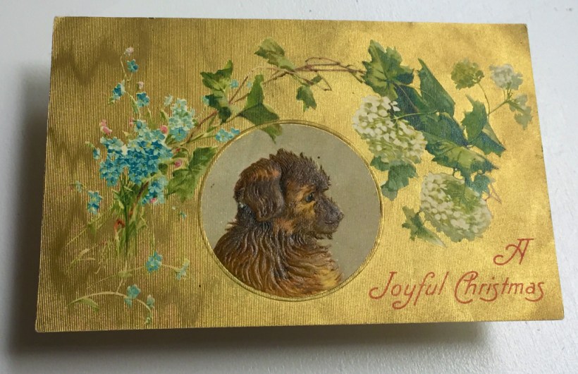 postcardjoyfulpuppynodate